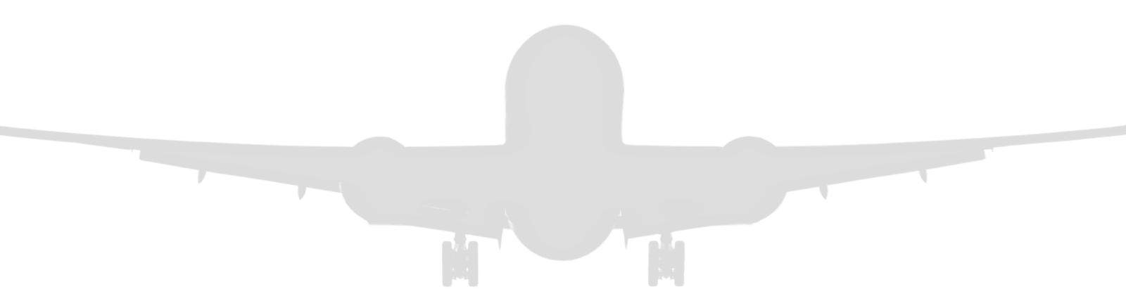 flight